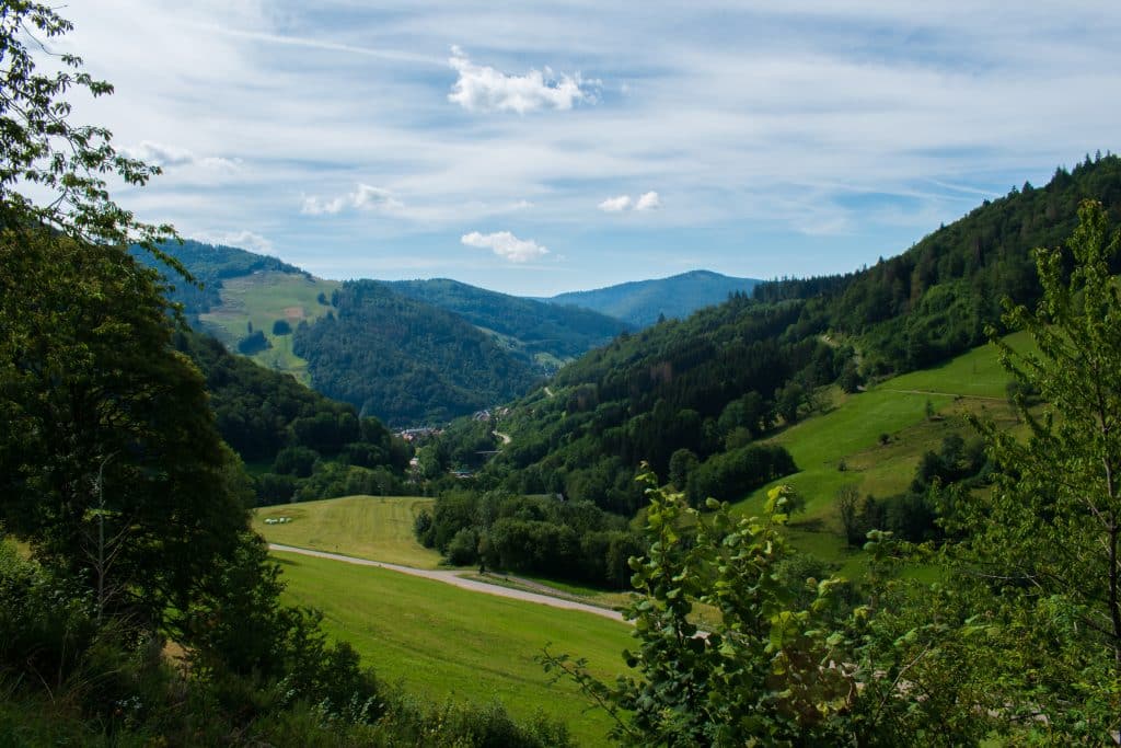 Vales e Flroestas da Floresta Negra