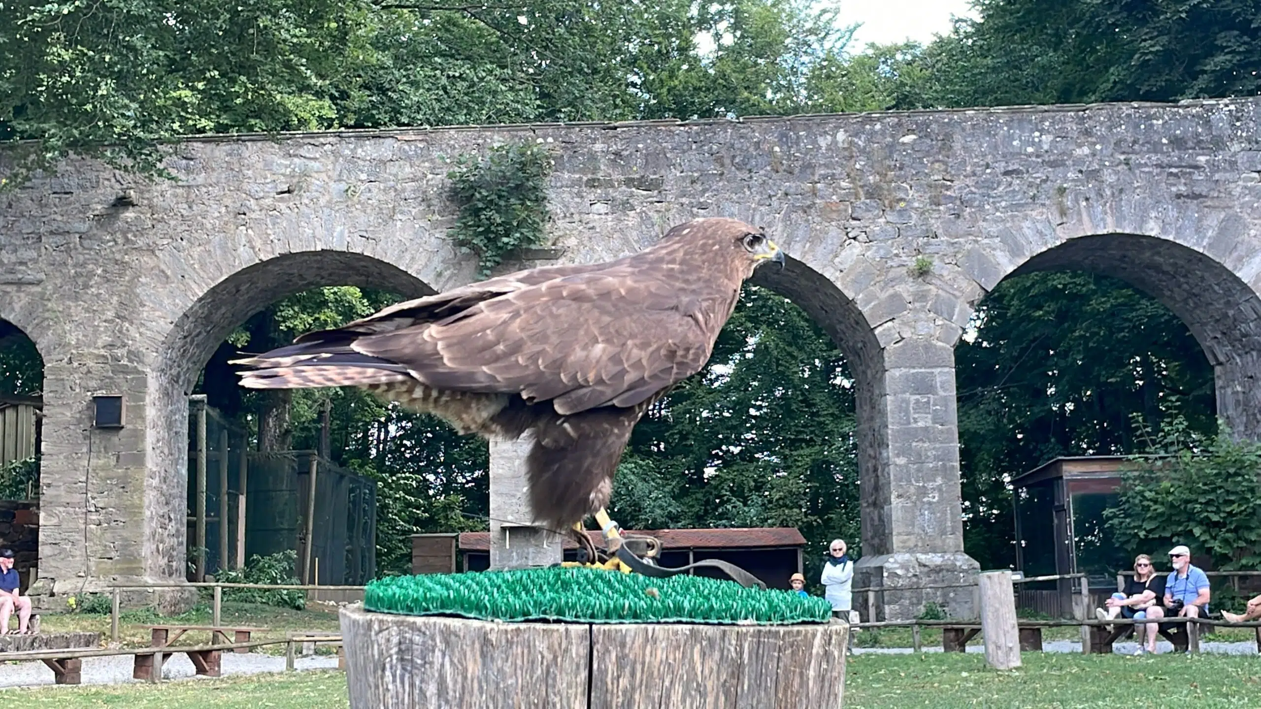Show Aves da Rota Romantica