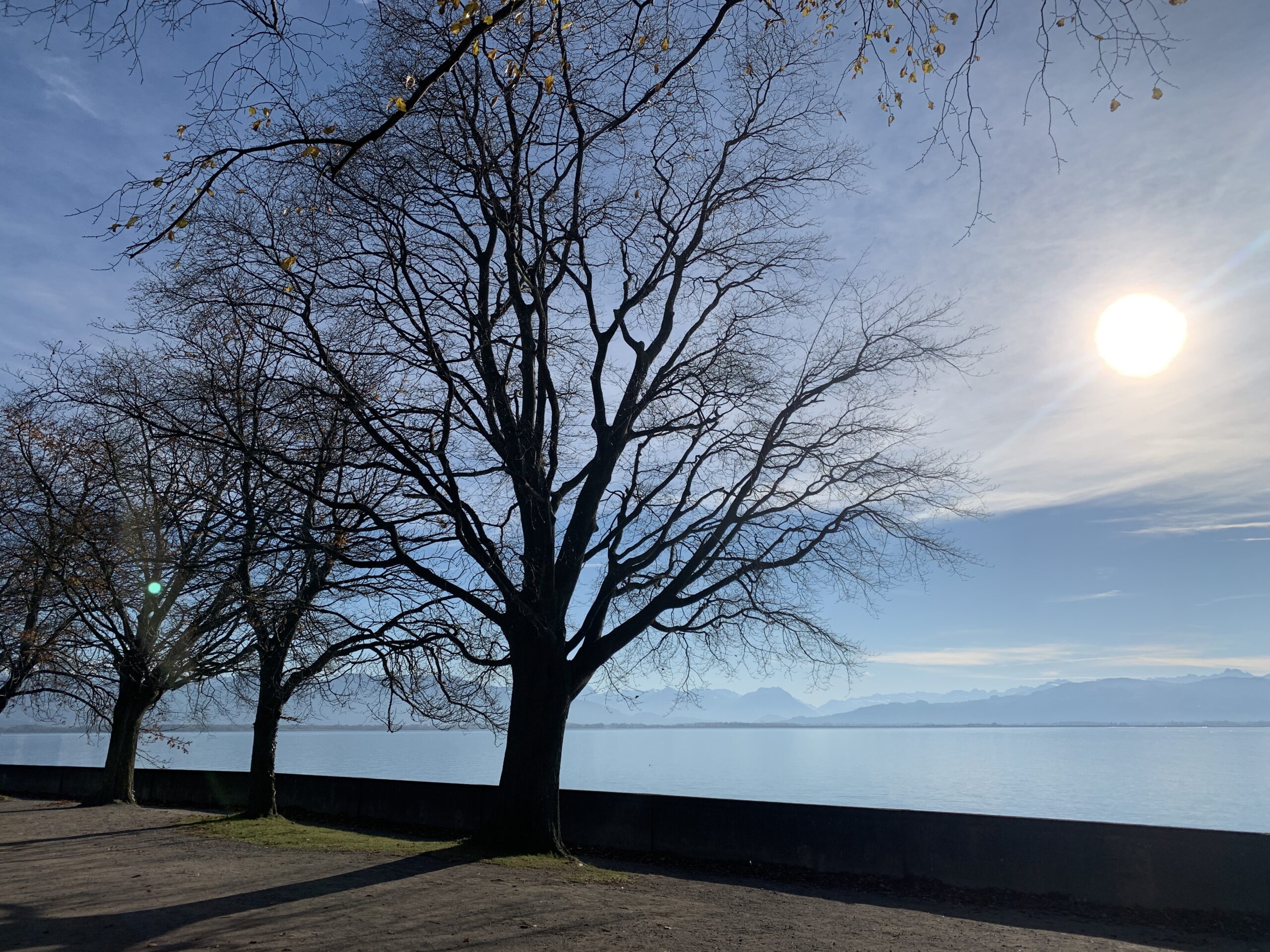 Lindau na Alemanha. Viagem Alemanha. Guia brasileiro na Alemanha. Turismo na Alemanha.