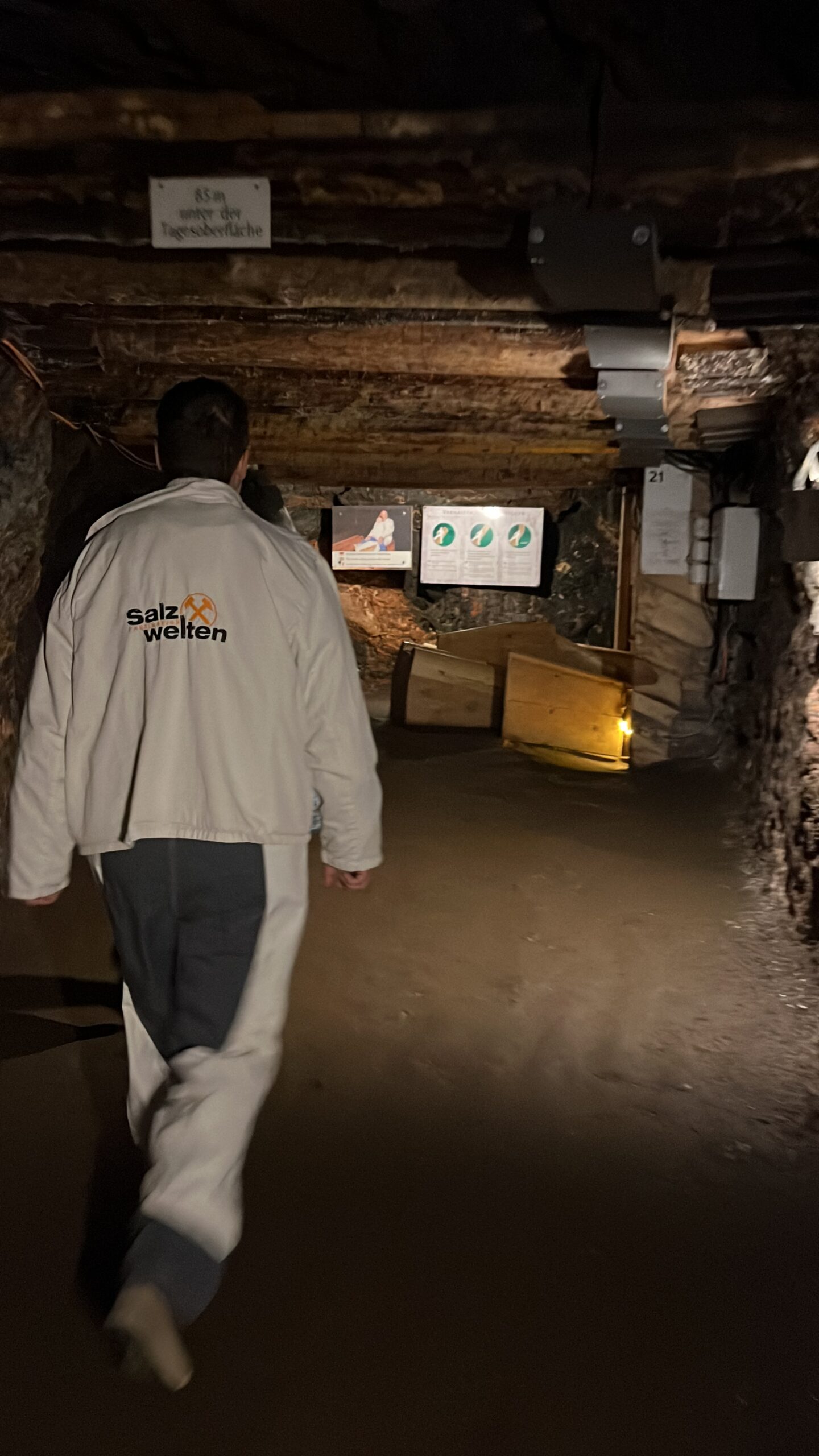 Salzwelten en Austria, guía brasileño