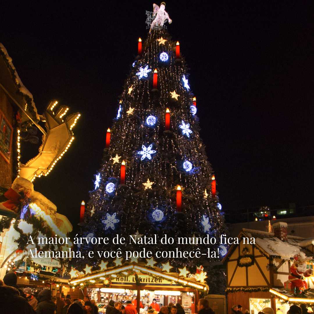 Natal na Alemanha. Viagem Alemanha. Guia brasileiro na Alemanha. Experiências de natal na Alemanha.