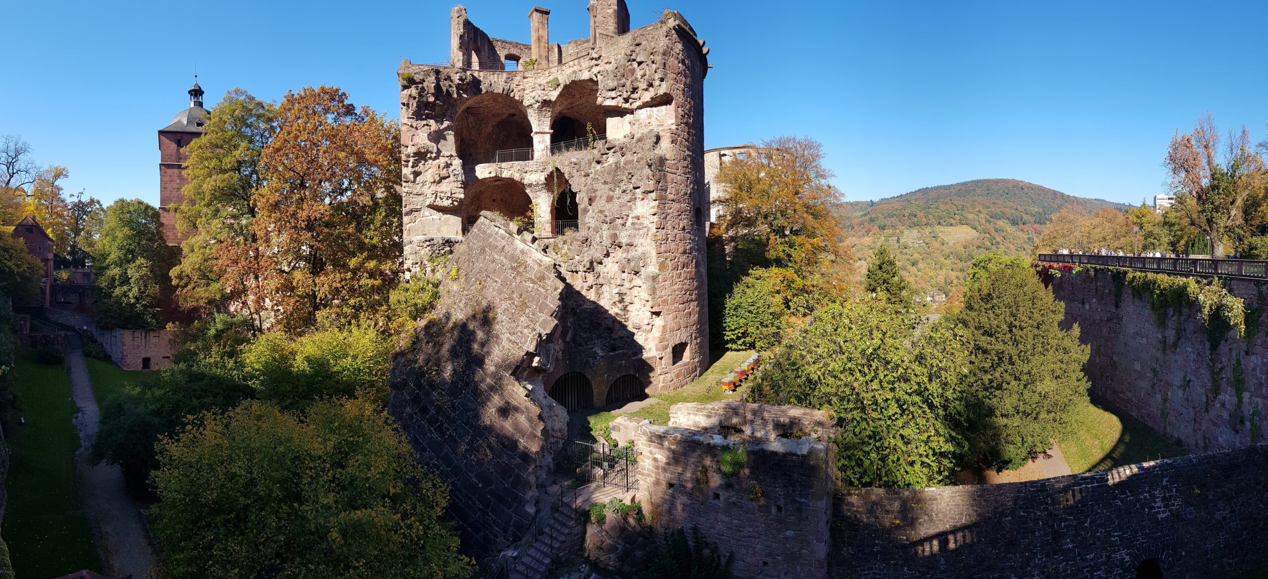 Passeios guiados pelo Castelo de Heidelberg na Alemanha contando mais sobre as ruinas e a hisoria do castelo