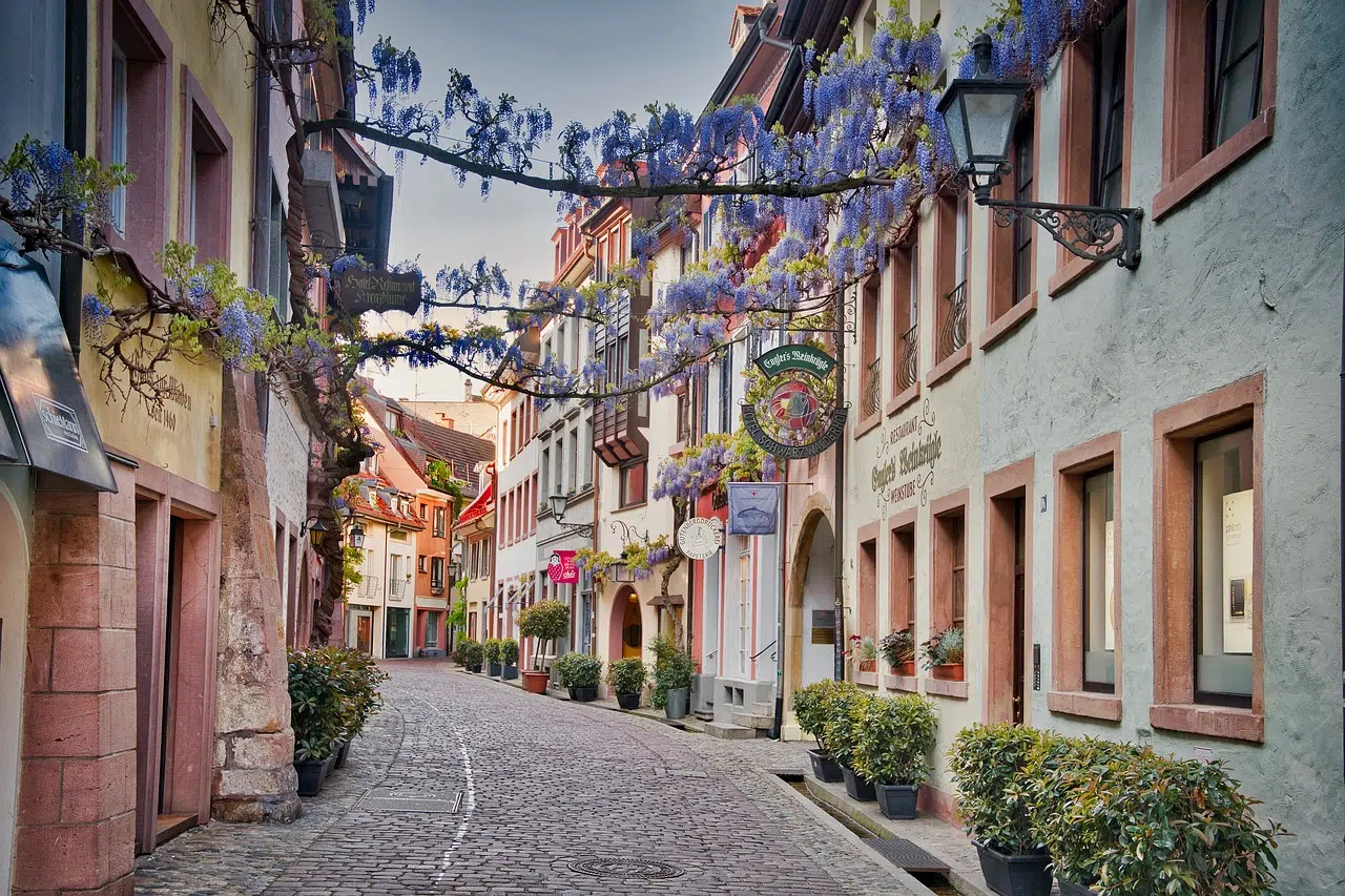 Freiburg Viagemalemanha Guianaflorestanegra