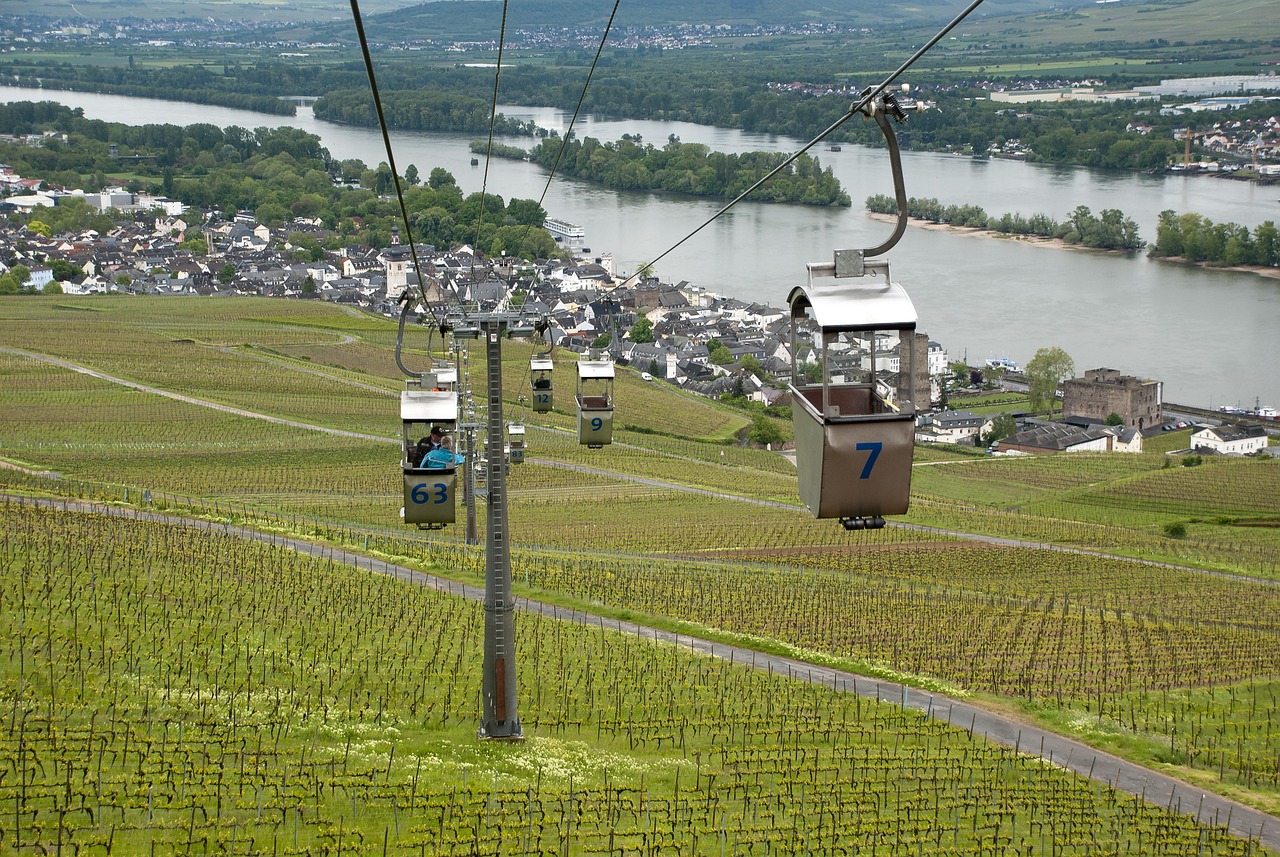 Rüdesheim am Rhein en el Valle del Rin, Alemania. Guía brasileña en Alemania