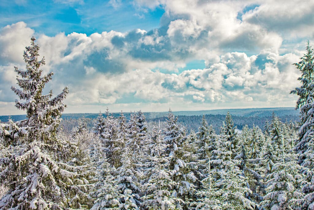 Erlebnis Akademie AG