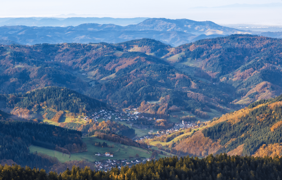 Seebach