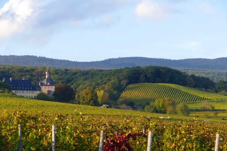 O melhor de Hessen: entre Frankfurt moderno e vilas medievais