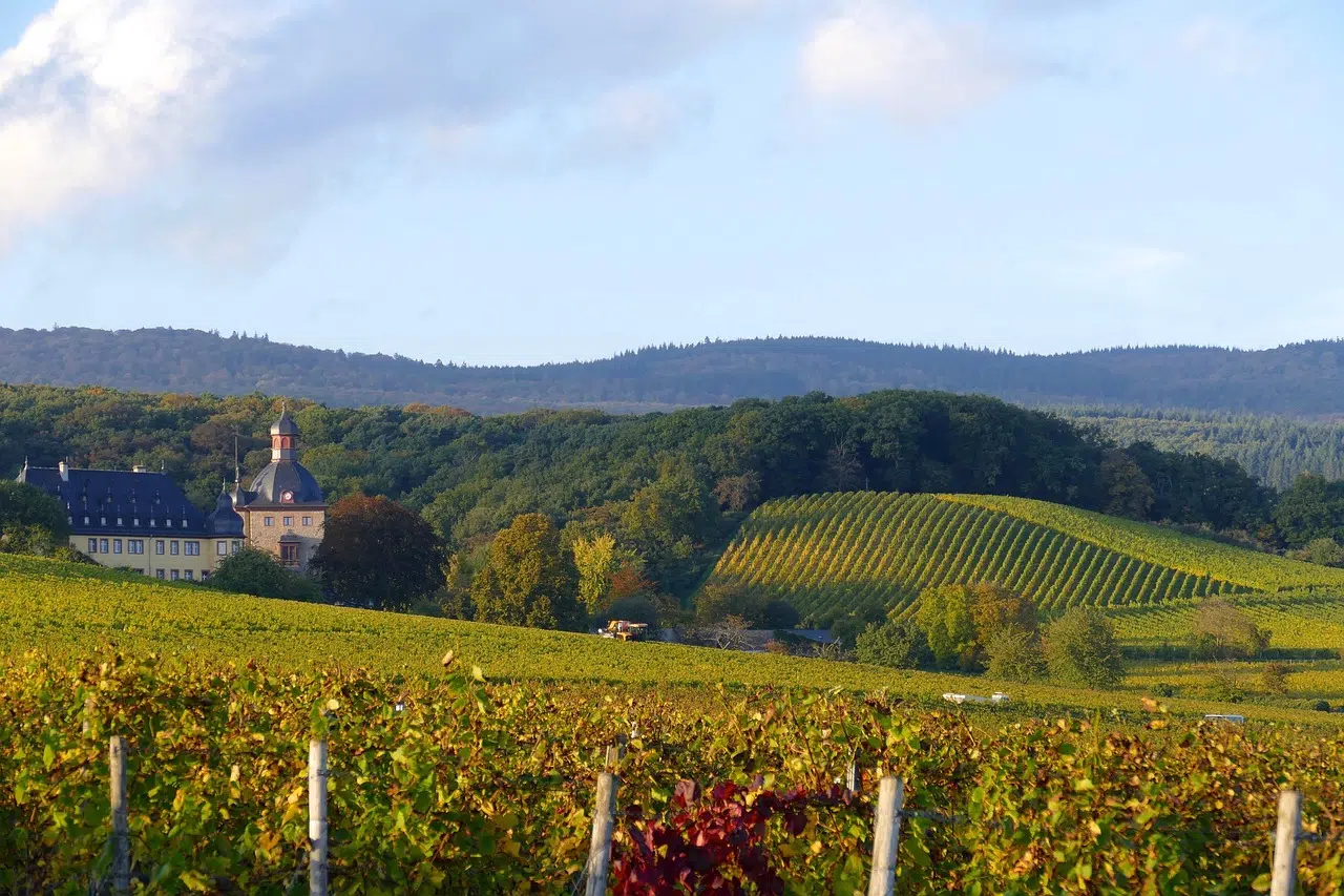 O melhor de Hessen: entre Frankfurt moderno e vilas medievais