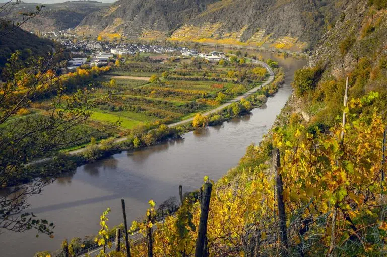 Lo mejor de Rheinland-Pfalz: vinos, castillos y el Valle del Rin
