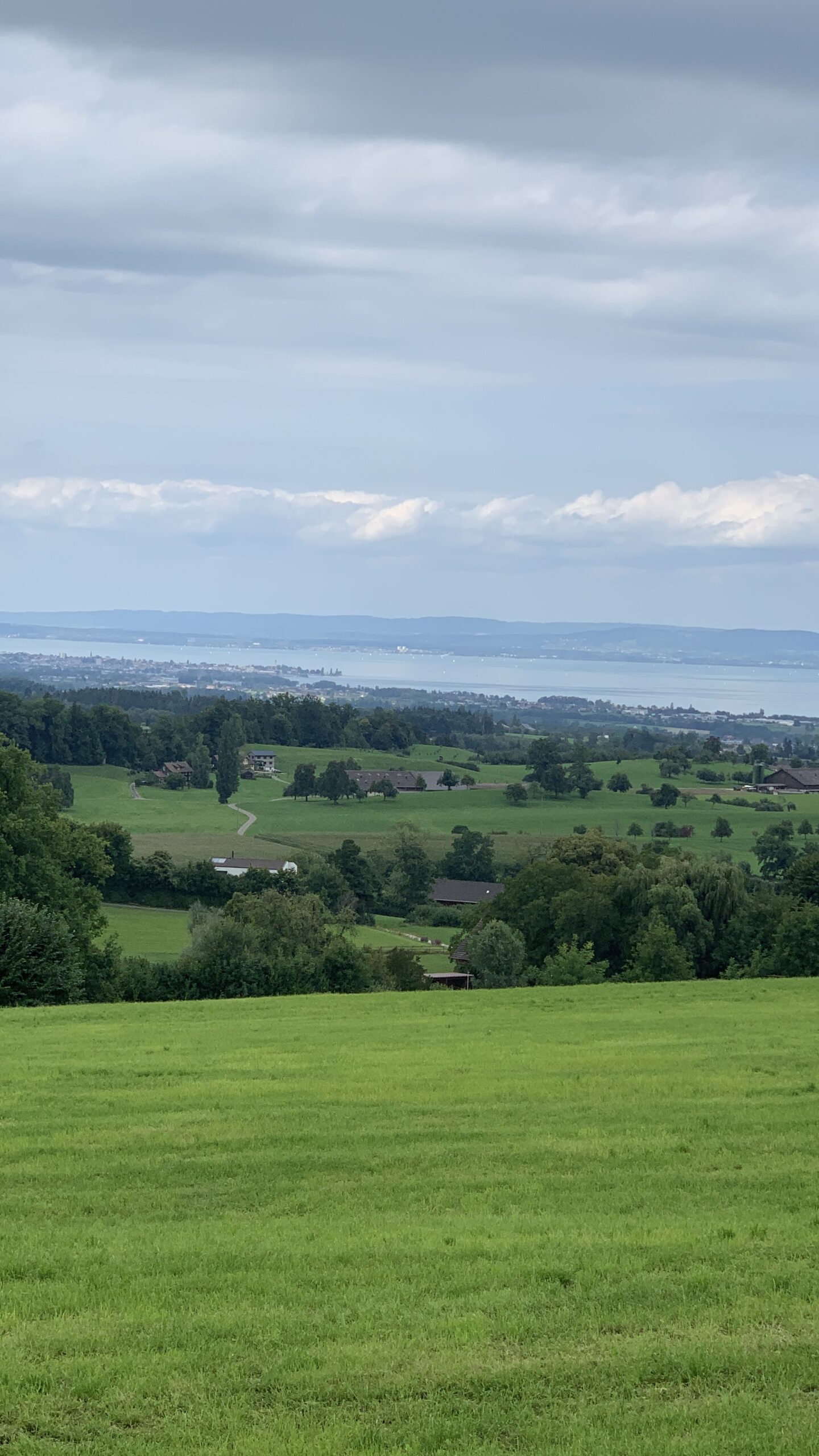 Vista panorámica del Lago de Constanza con los Alpes al fondo