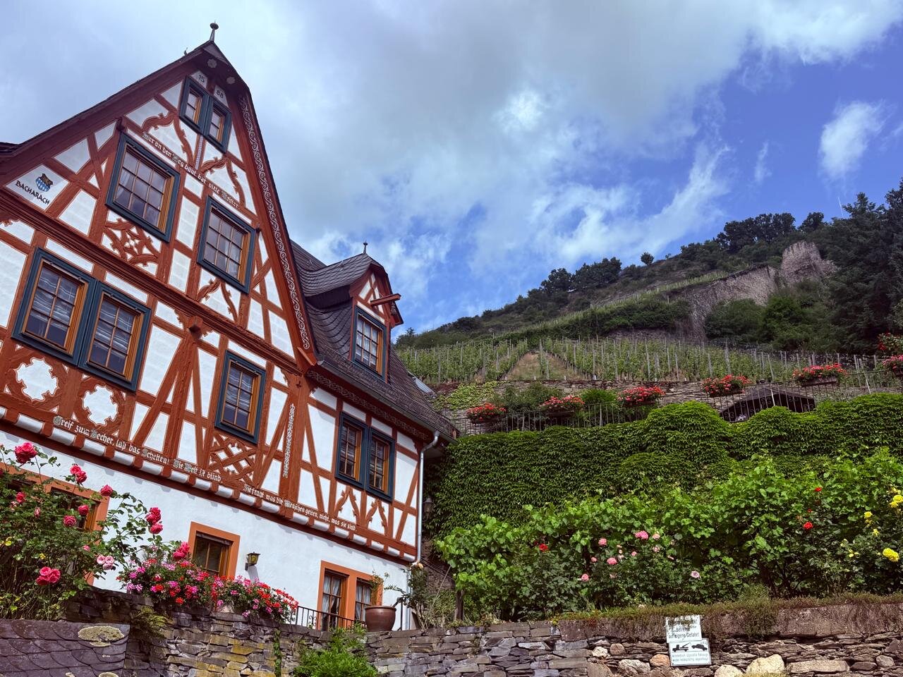Riesling, castelos e rios no Reno e Mosela