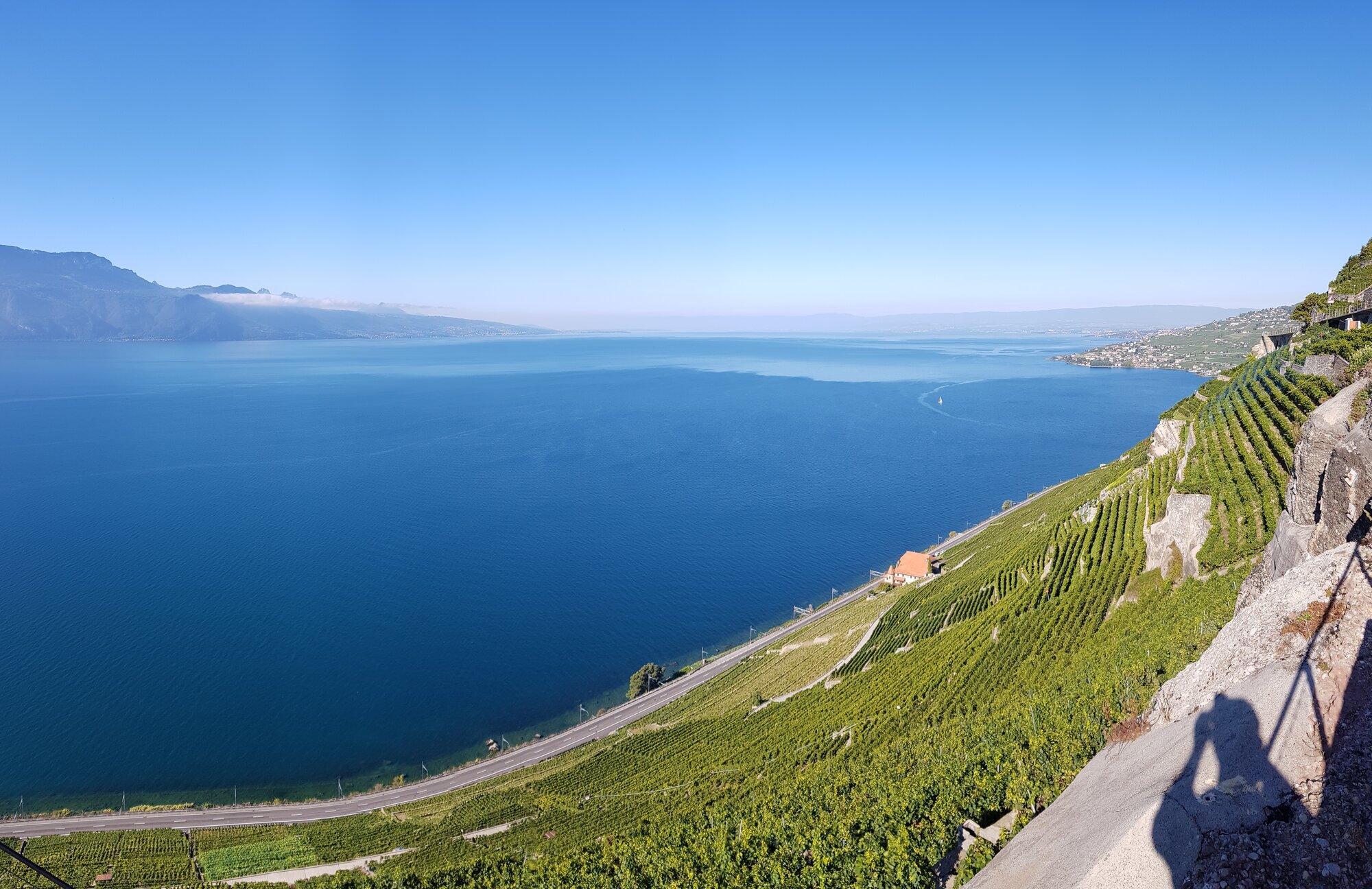 Vinhos suíços e paisagens alpinas em Lavaux