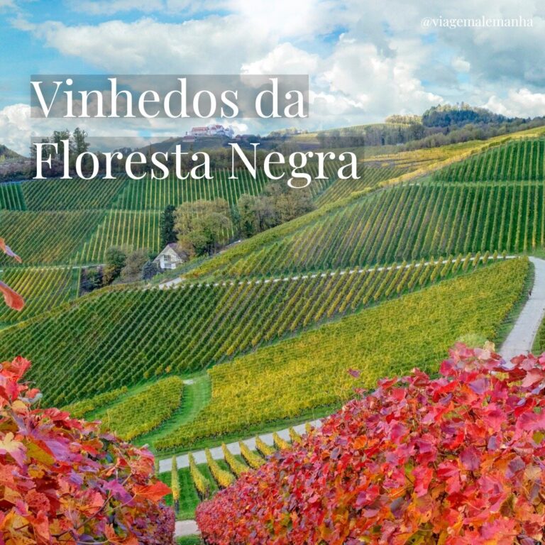 Enoturismo de Luxo na Alemanha, Áustria, Suíça, Alsácia e Norte da Itália