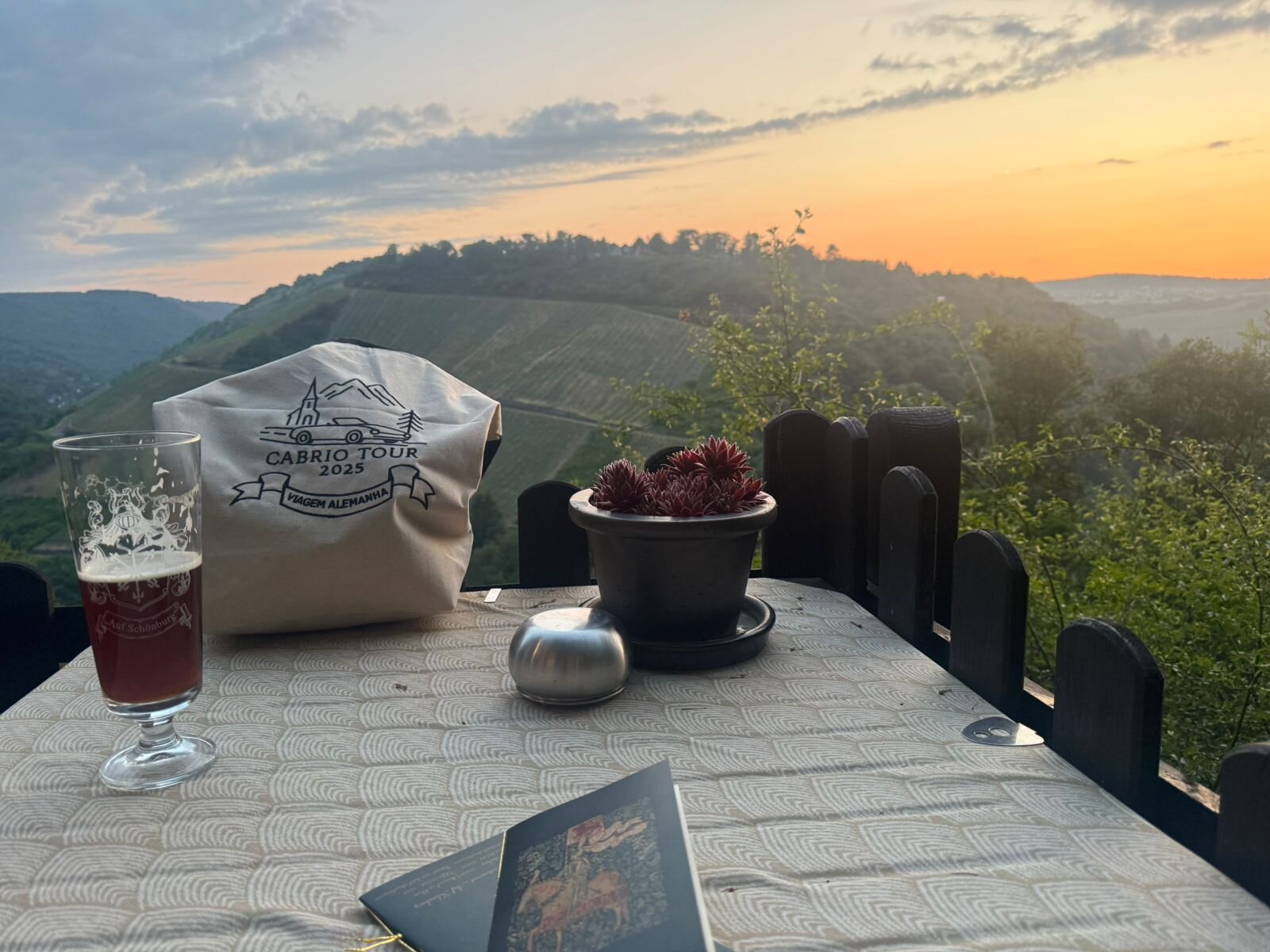 Vinhedos ao entardecer com luz quente
