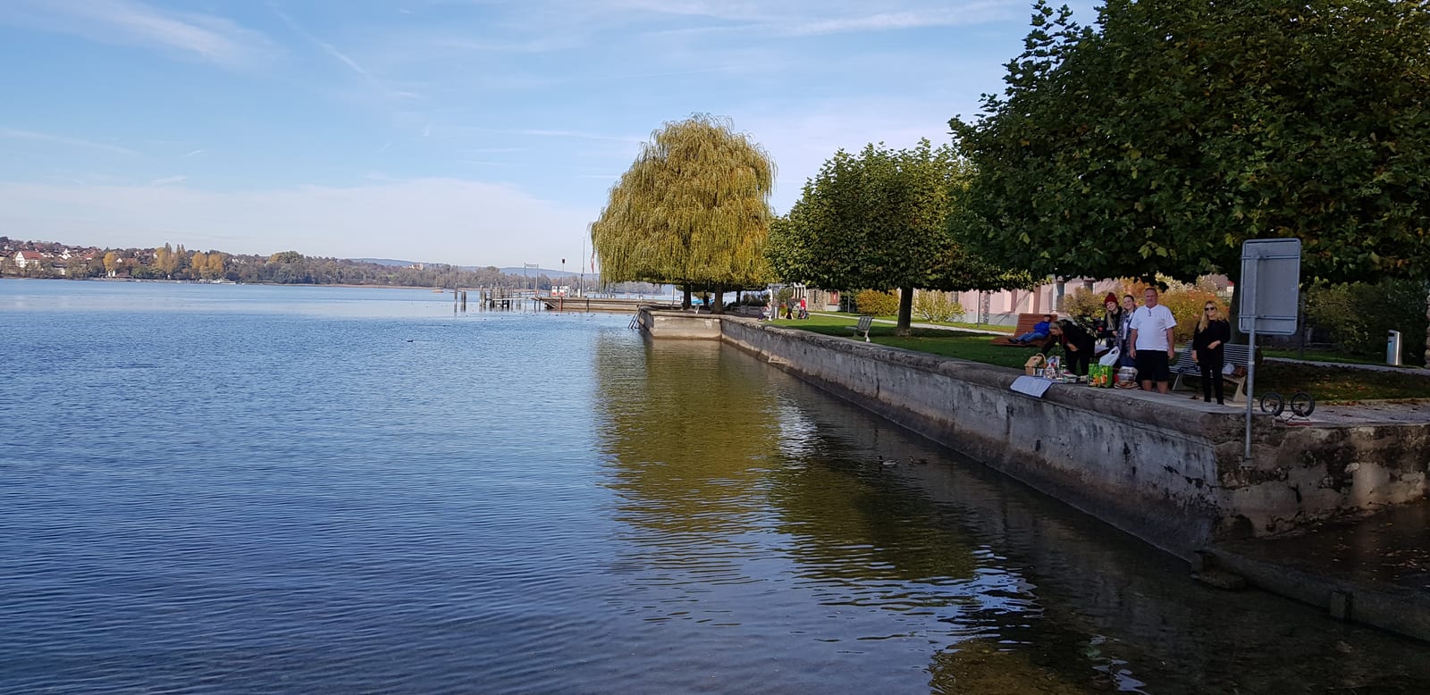 Orla do Lago de Constança no outono, com um salgueiro dourado à beira d'água