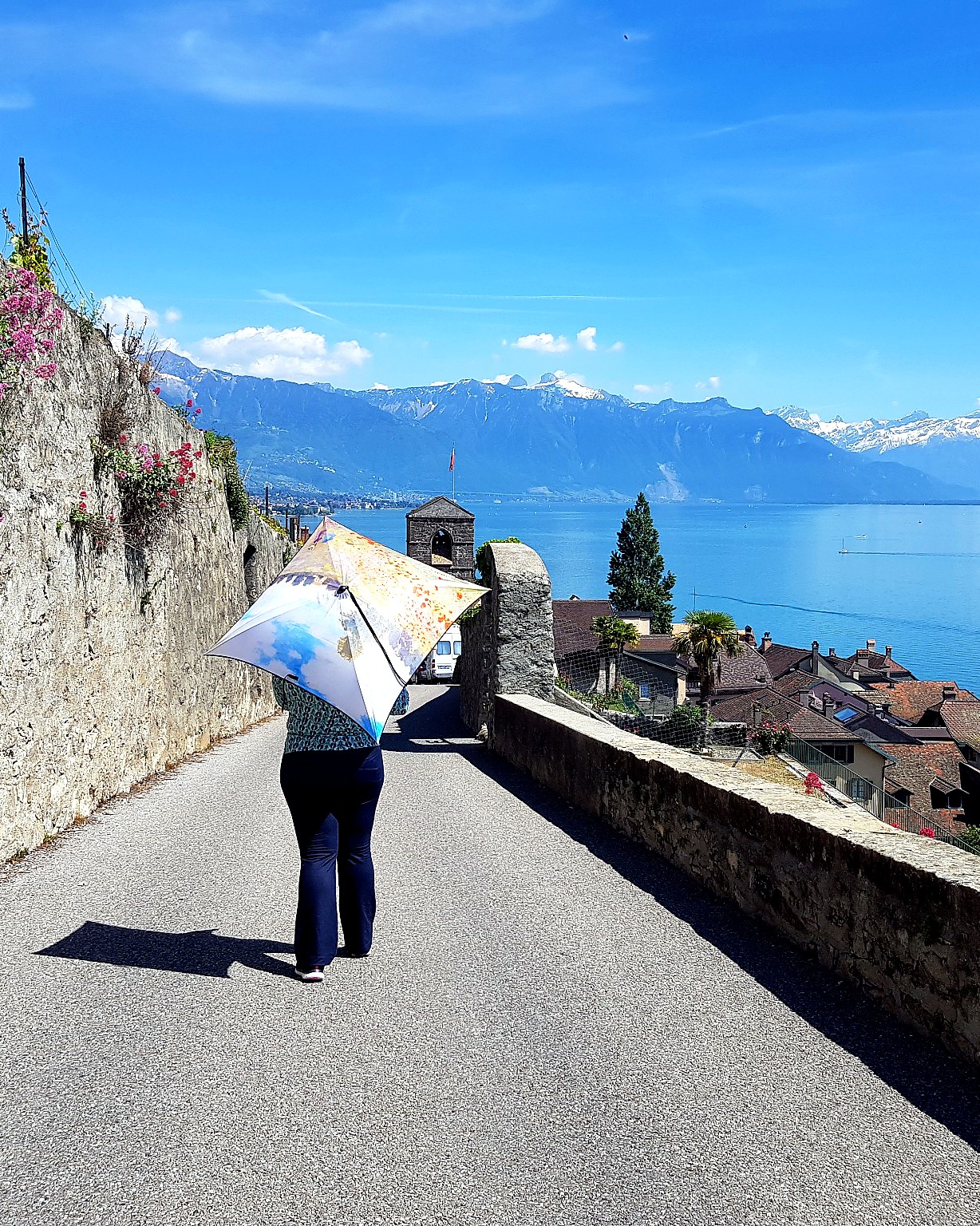 Caminhada em Lavaux com vista para o Lago Genebra em roteiro sob medida pela Suíça