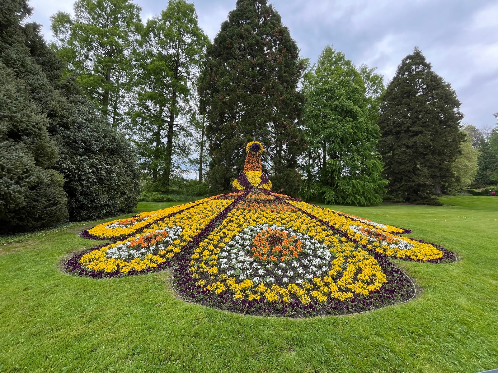 Grande escultura de flores em forma de pavão sobre o gramado da Ilha Mainau