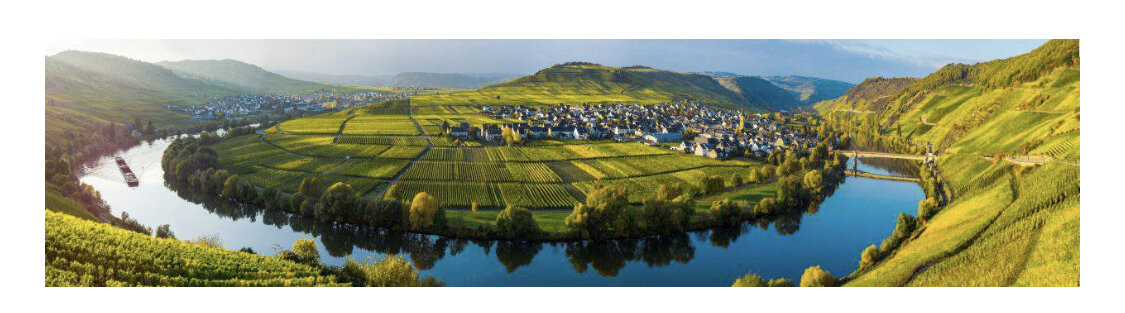 Vinhedos em encostas íngremes sobre o rio Mosel