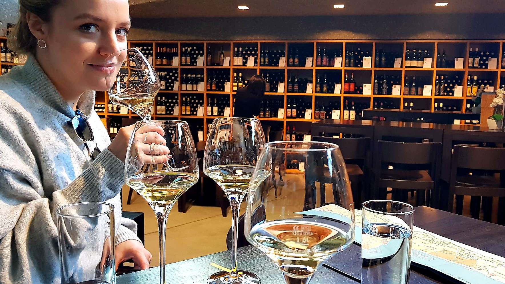 Degustação de vinhos nos terraços de Lavaux em roteiro privativo pela Suíça