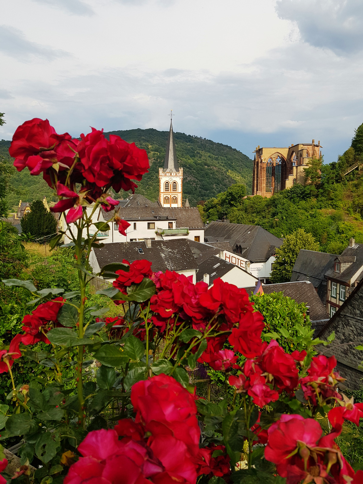 Vista de Bacharach de um ponto alto, com a torre da igreja, a ruína da Wernerkapelle e rosas vermelhas em primeiro plano