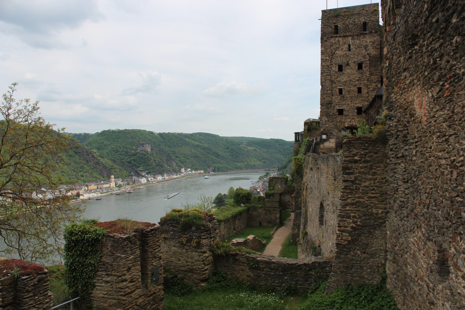 Vista do rio Reno a partir das ruínas de Burg Rheinfels