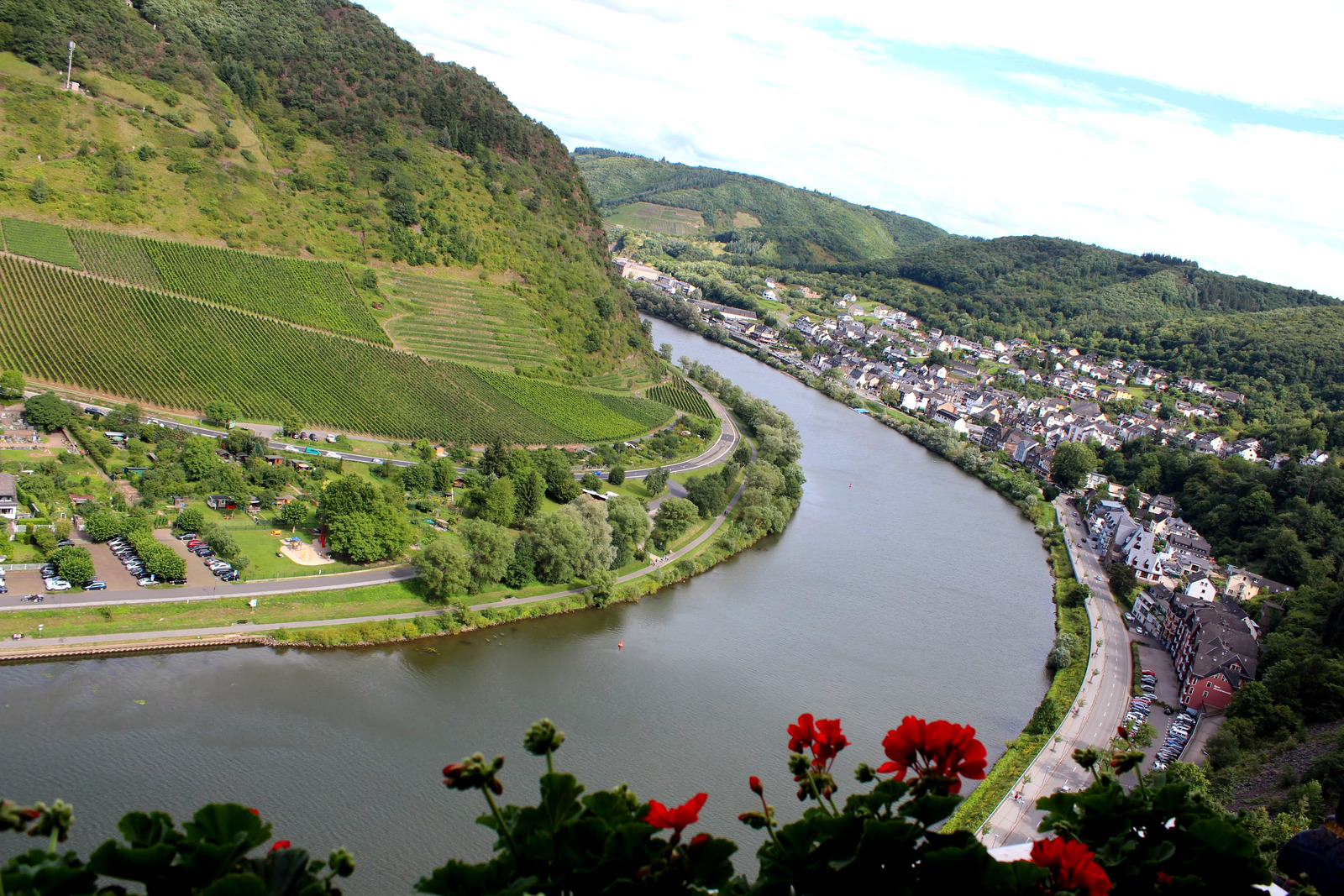 Curva do rio Mosela com vinhedos e cidade vistas do castelo de Cochem