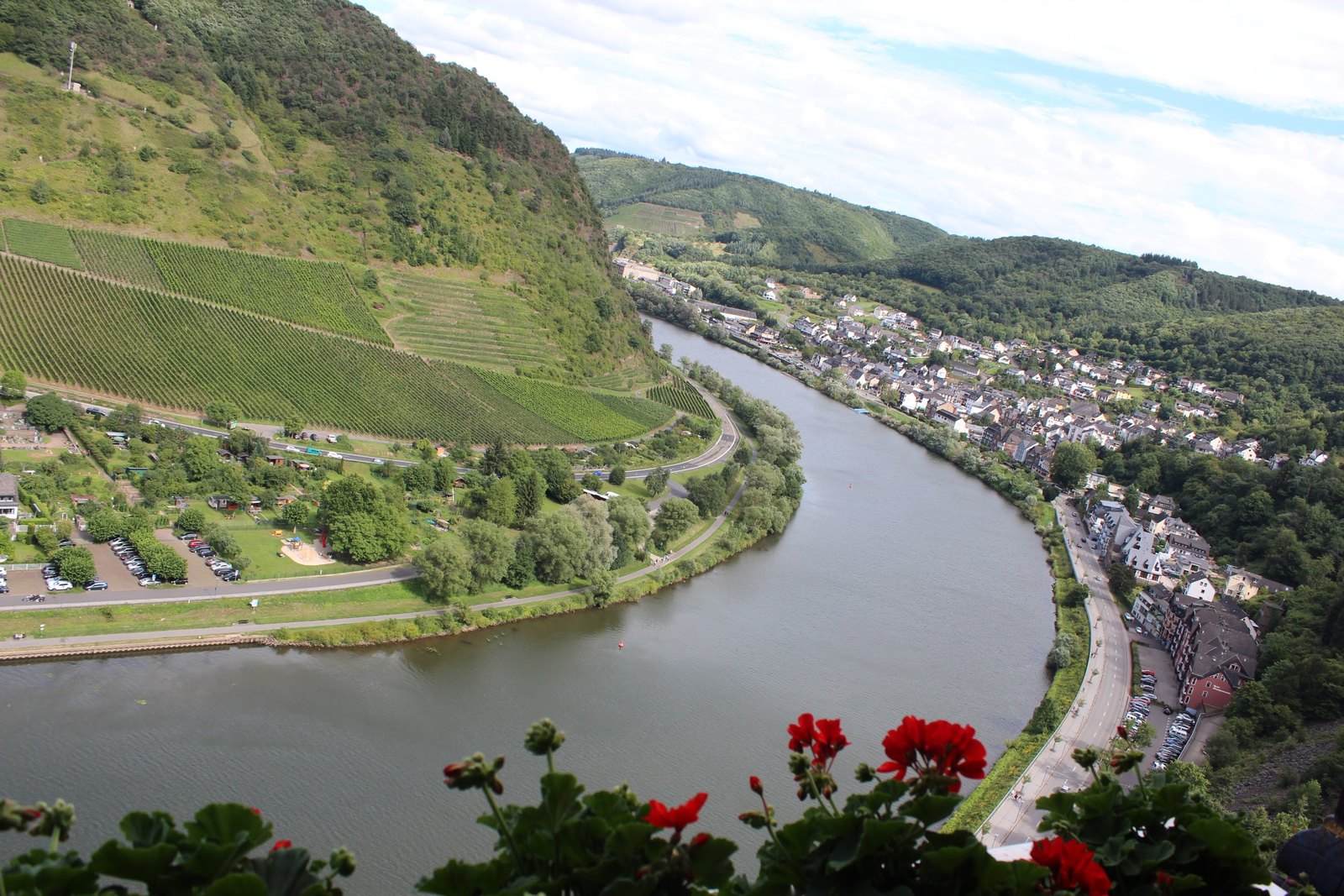 Curva do rio Mosela com vinhedos nas encostas, vista do Reichsburg Cochem