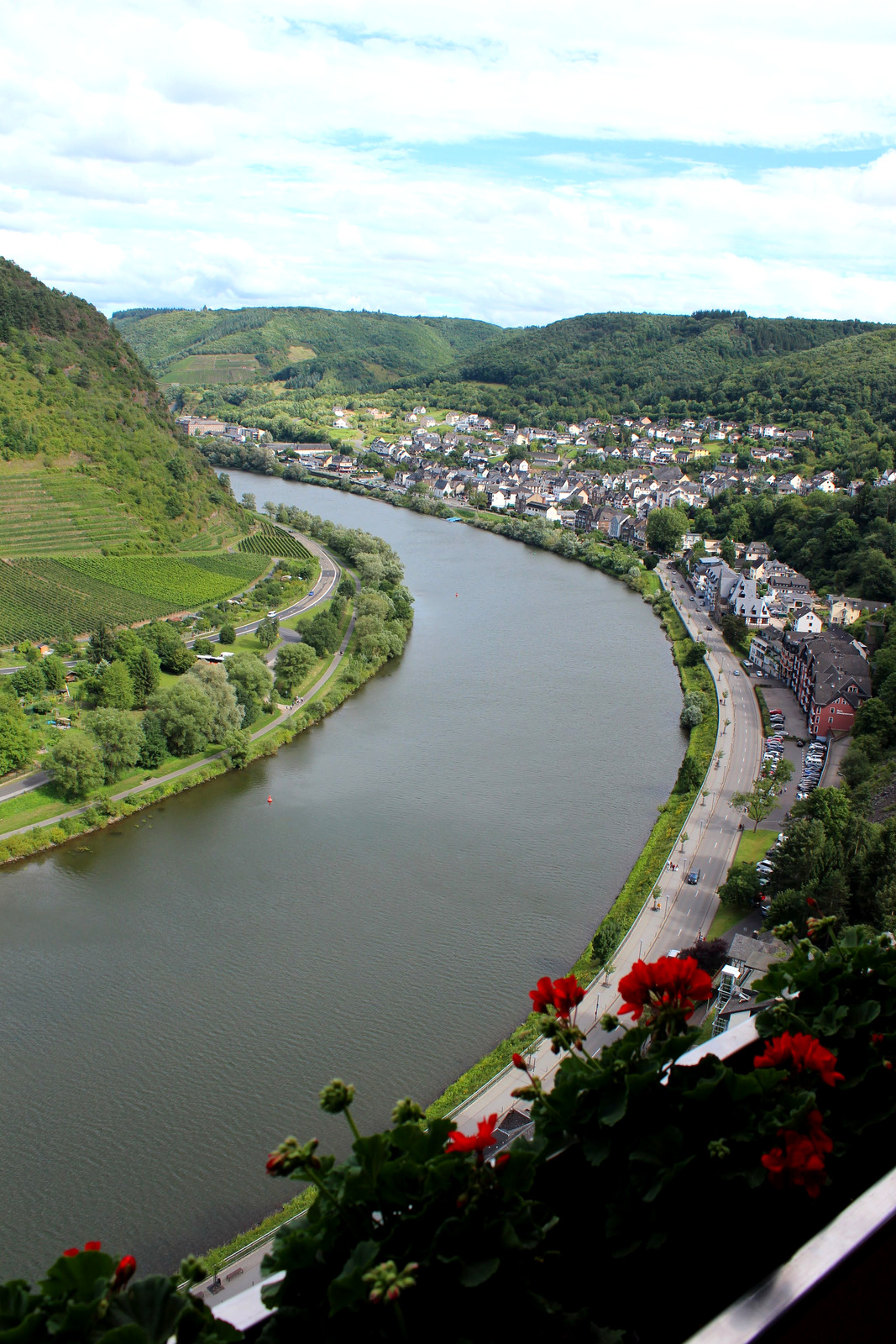 Curva do rio Mosela vista do Reichsburg de Cochem, com vinhedos em terraço na encosta esquerda, o casario de ardósia na margem do rio e gerânios da sacada do castelo em primeiro plano