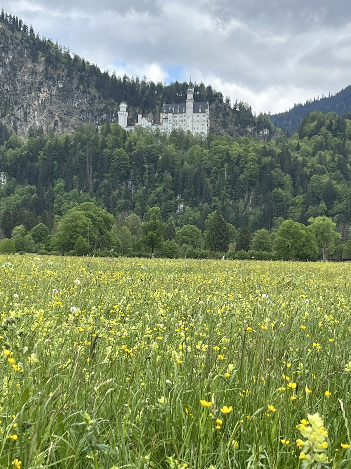 Castelo de Neuschwanstein visto do prado florido