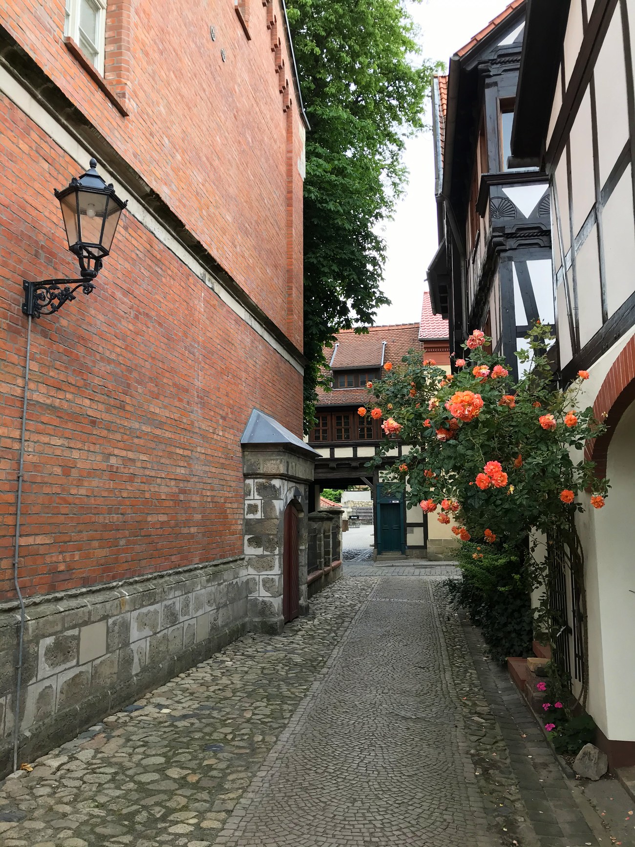 Ruela de pedra com roseira laranja e lampião de ferro em Quedlinburg