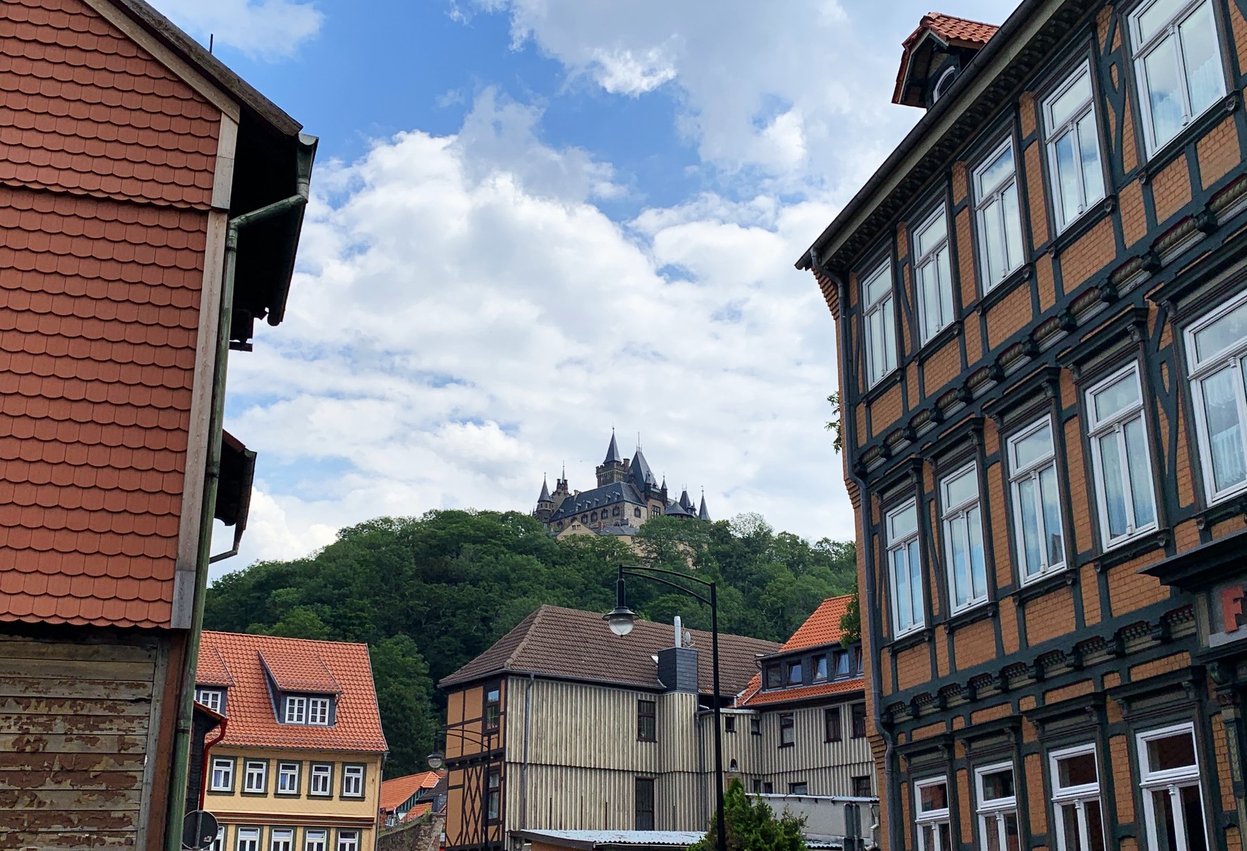 Schloss Wernigerode no alto da colina arborizada, visto entre casas de enxaimel