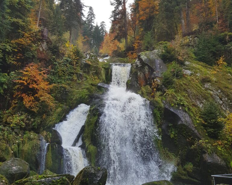 Triberg: cascatas, cucos gigantes e a verdade sobre a torta