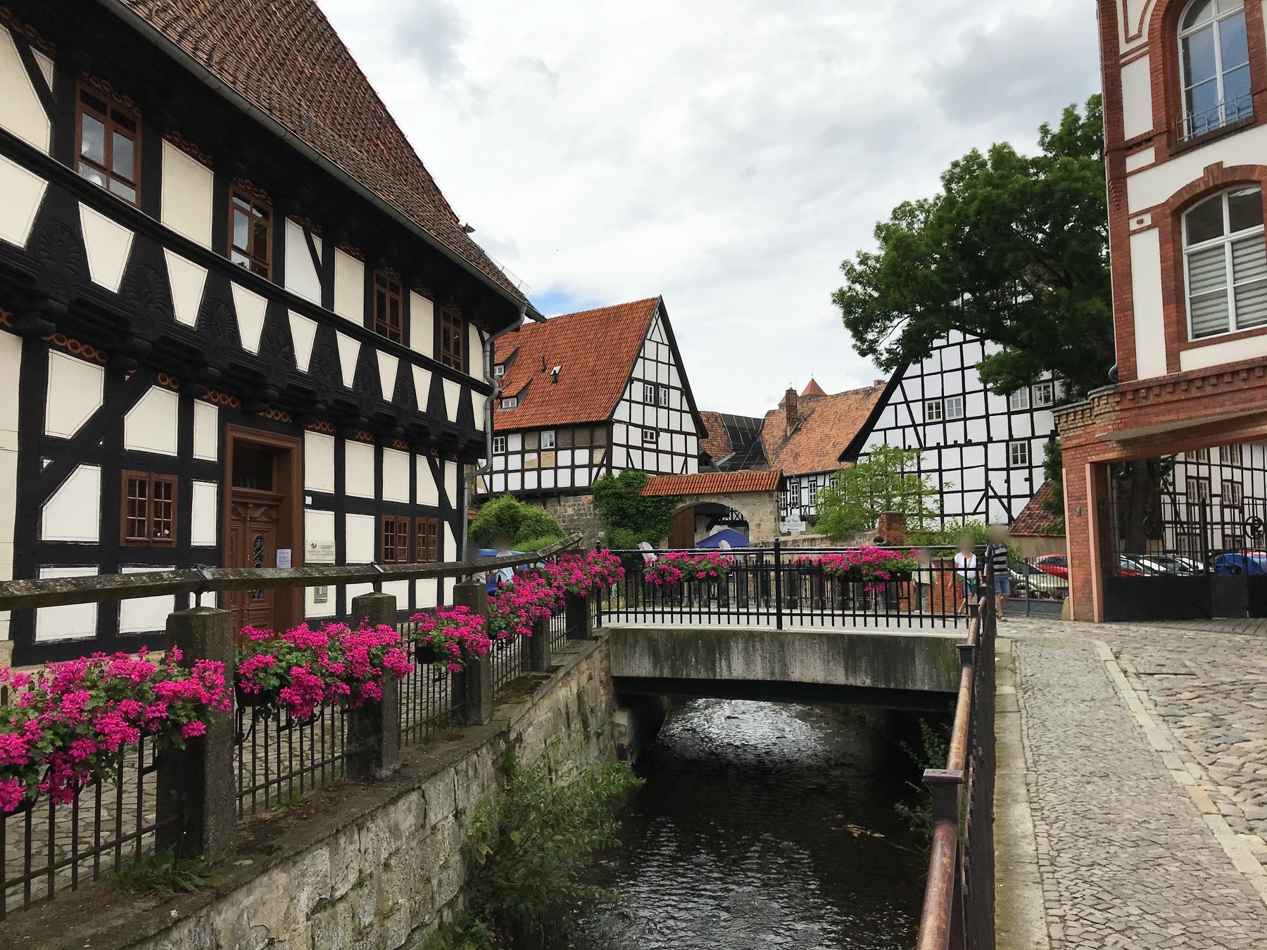 Gerânios cor-de-rosa ao longo do canal e casas de enxaimel em Quedlinburg
