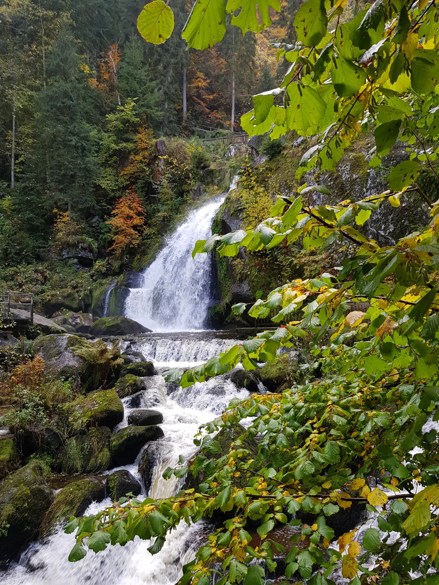 Cachoeiras de Triberg entre as árvores da Floresta Negra