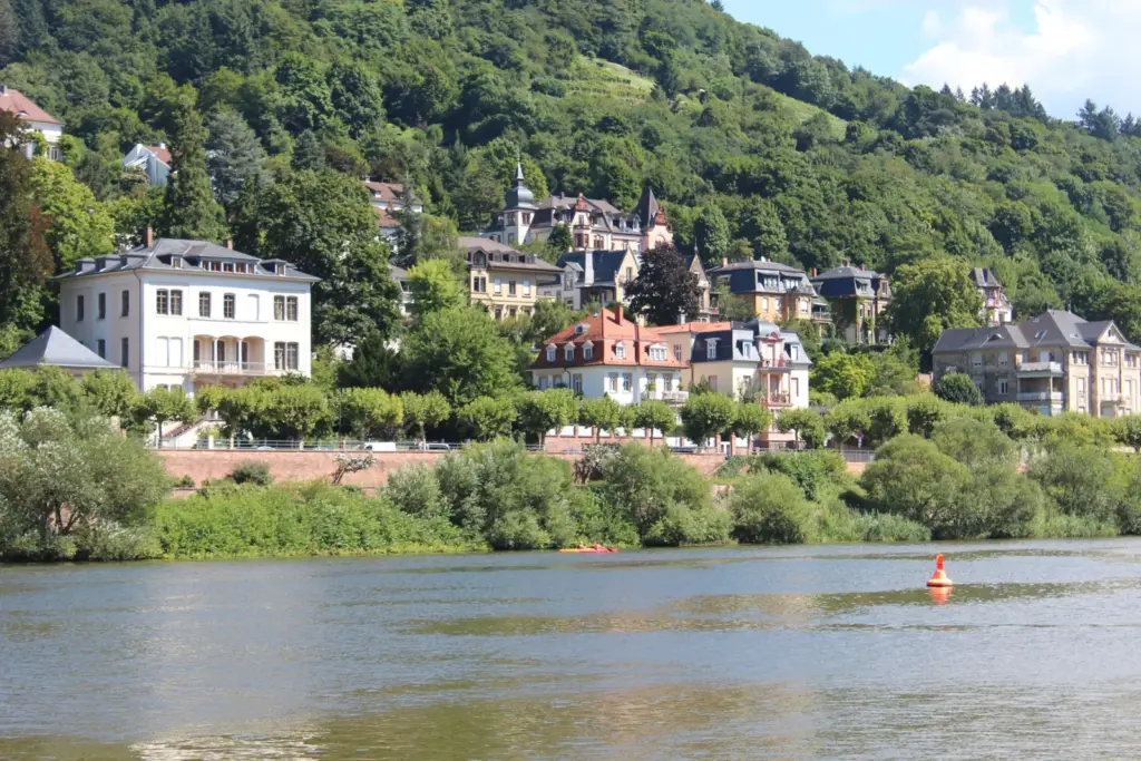 Casas entre árvores na margem norte do rio Neckar em Heidelberg