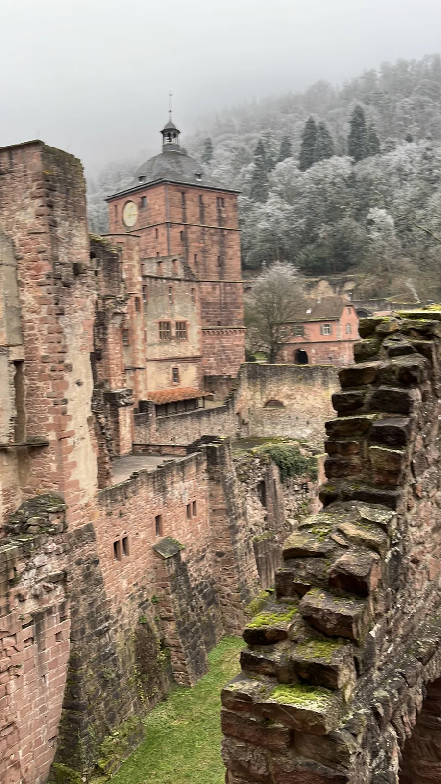 Ruínas do Castelo de Heidelberg com árvores cobertas de geada ao fundo
