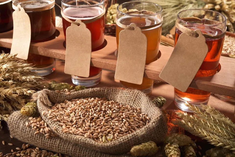 Copos de cerveja junto a grãos e ingredientes de fabricação