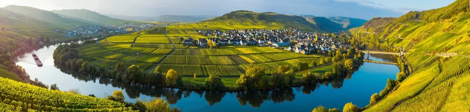 Curva do rio Mosel cercada por vinhedos e vilarejos