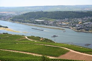 Vinhedos do Rüdesheimer Berg descendo até o Reno, com uma balsa cruzando o rio e a cidade de Bingen na margem oposta