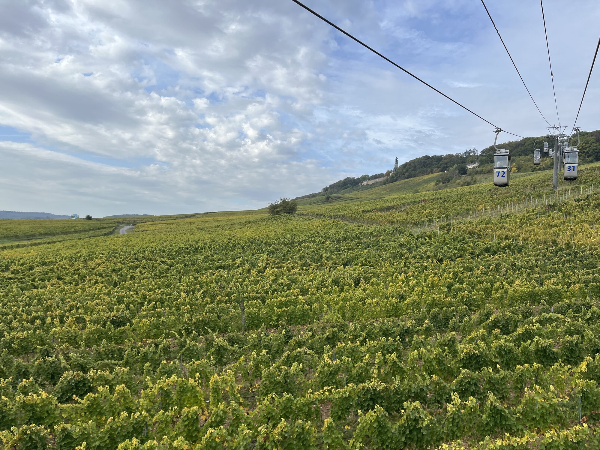 Cabines do teleférico de Rüdesheim passando sobre os vinhedos em outubro, com o Niederwalddenkmal no alto da encosta