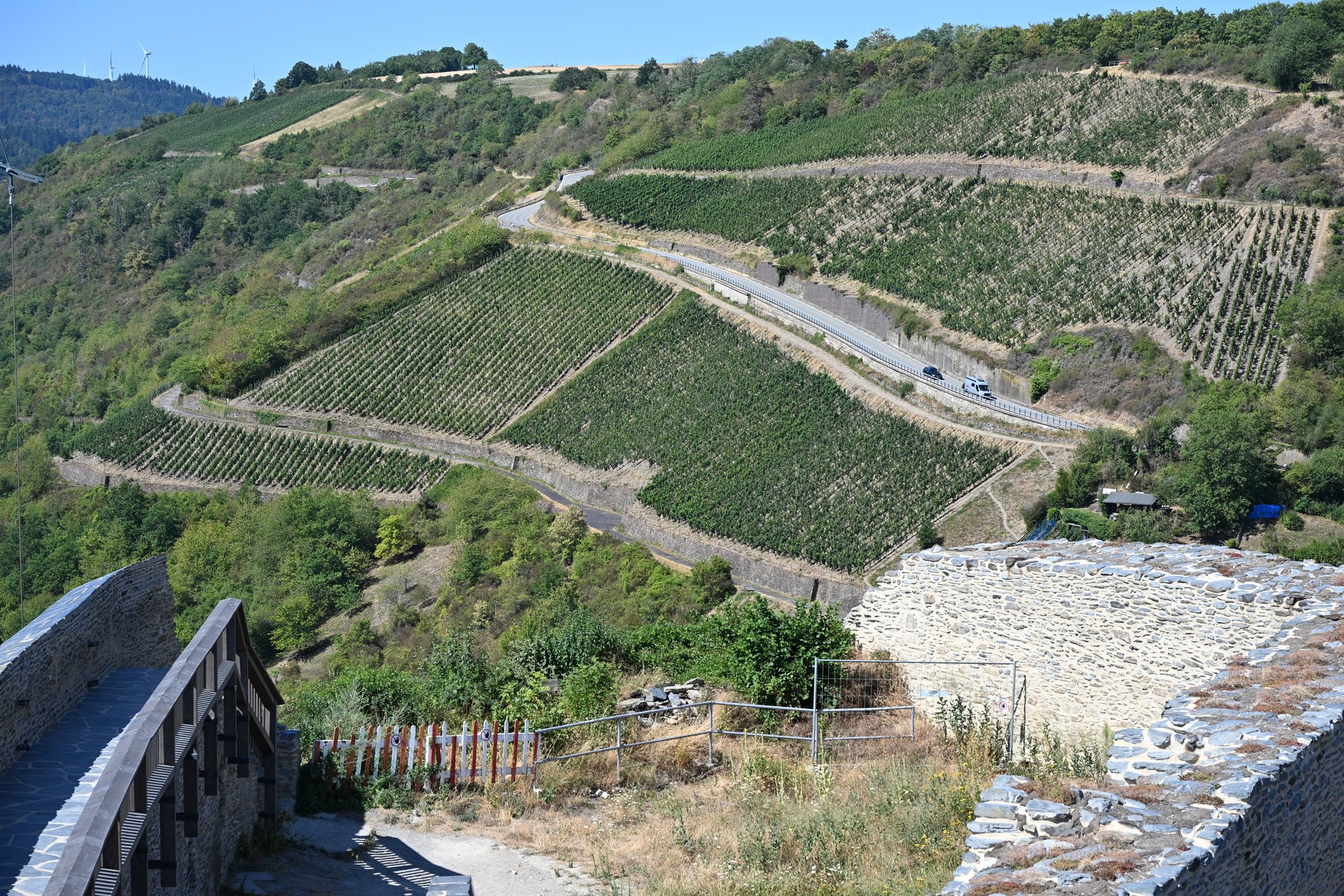 Vinhedos em socalcos numa encosta íngreme, vistos da muralha do castelo Schönburg em Oberwesel, com uma estrada serpenteando entre as parcelas