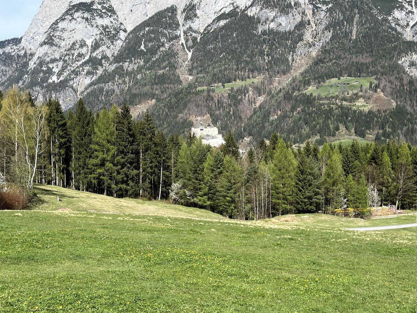 Prado verde diante de uma floresta de pinheiros, com o Castelo de Hohenwerfen pequeno no alto de um morro e montanhas nevadas atrás