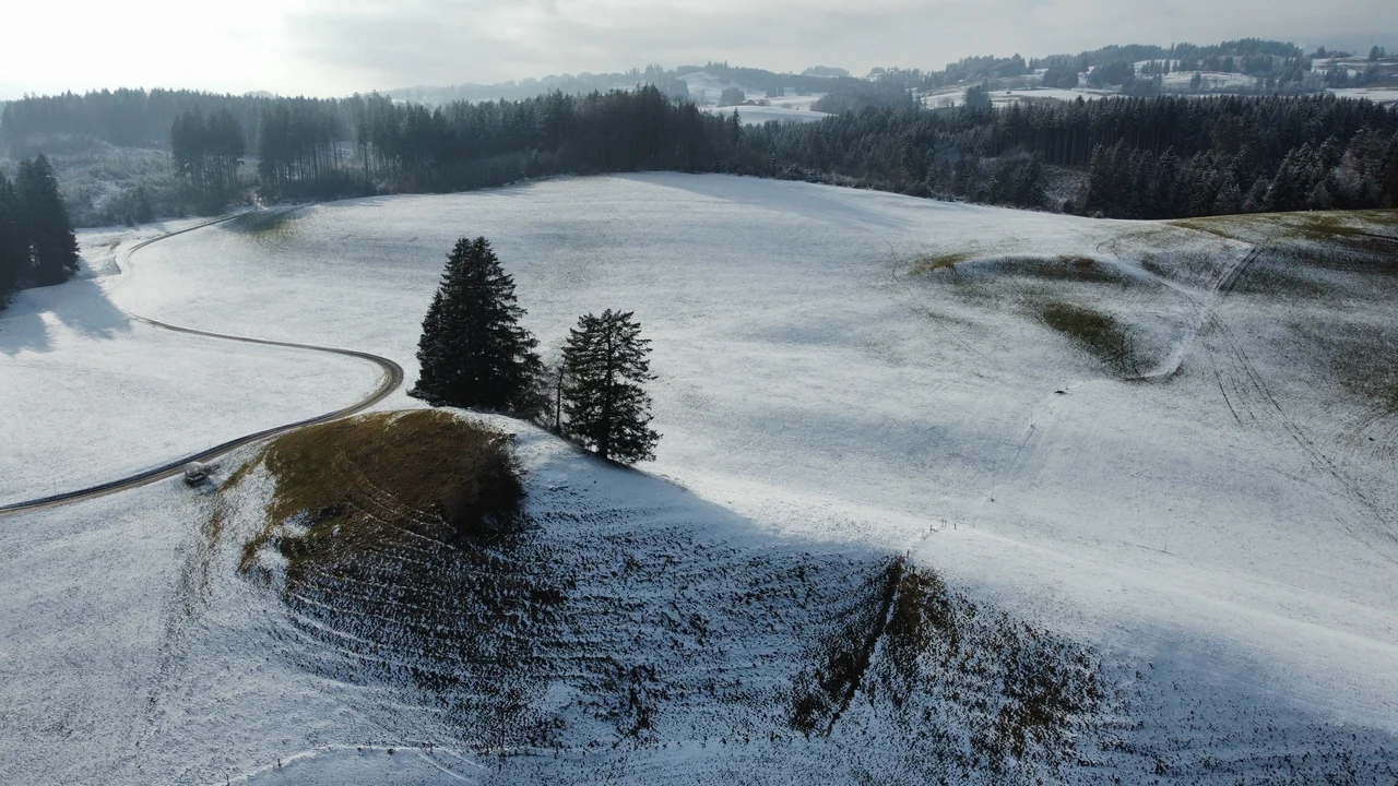 Campos com neve parcial, árvores e uma estrada curva vistos do alto na região de Immenstadt