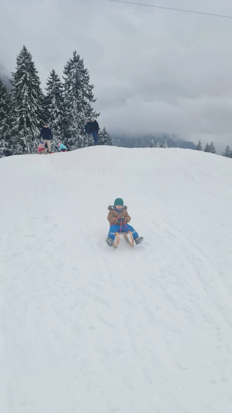 Criança em um pequeno trenó sobre a neve, com árvores cobertas de neve ao fundo