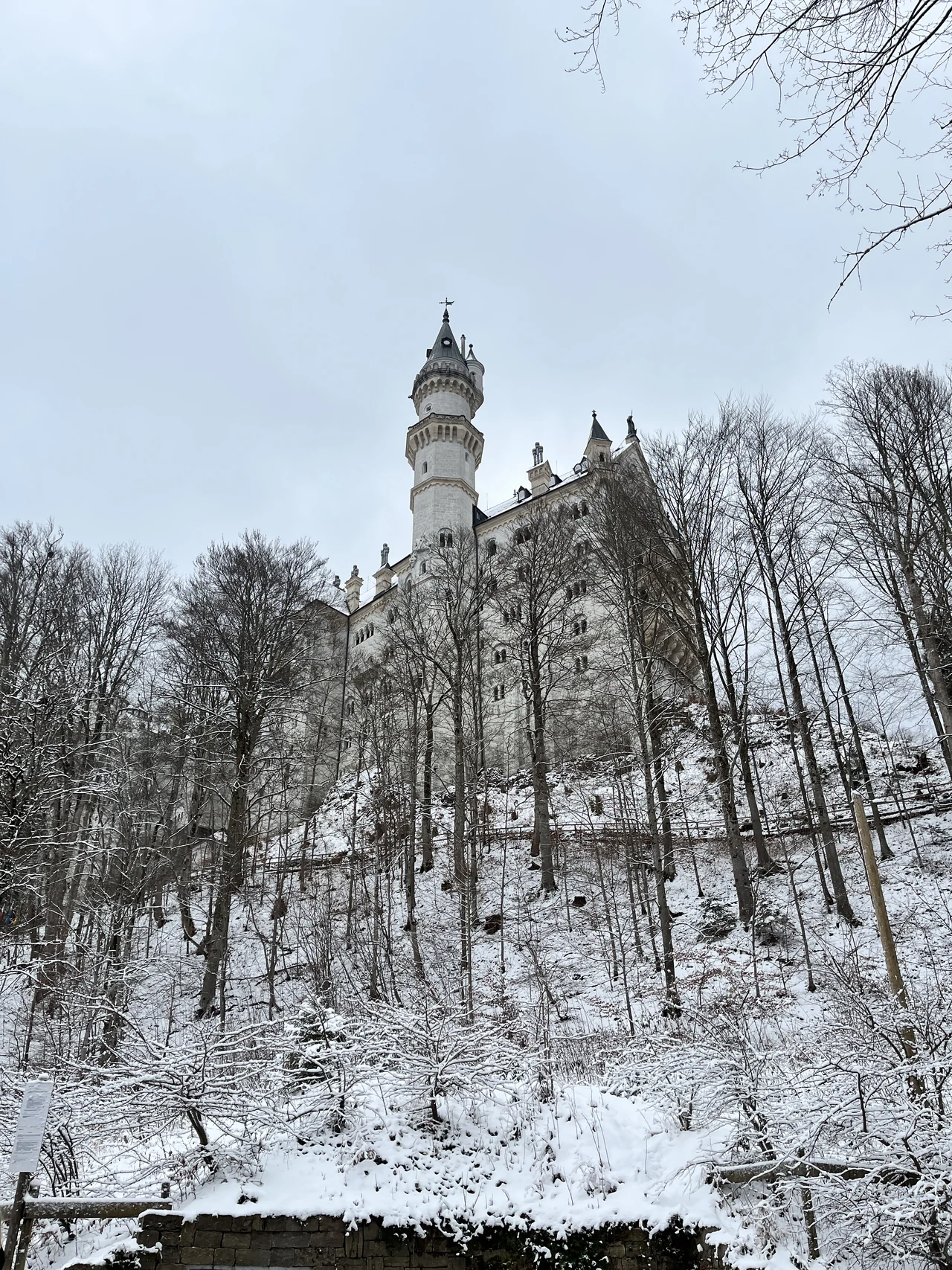 Torres de Neuschwanstein vistas entre árvores sem folhas e uma encosta coberta de neve